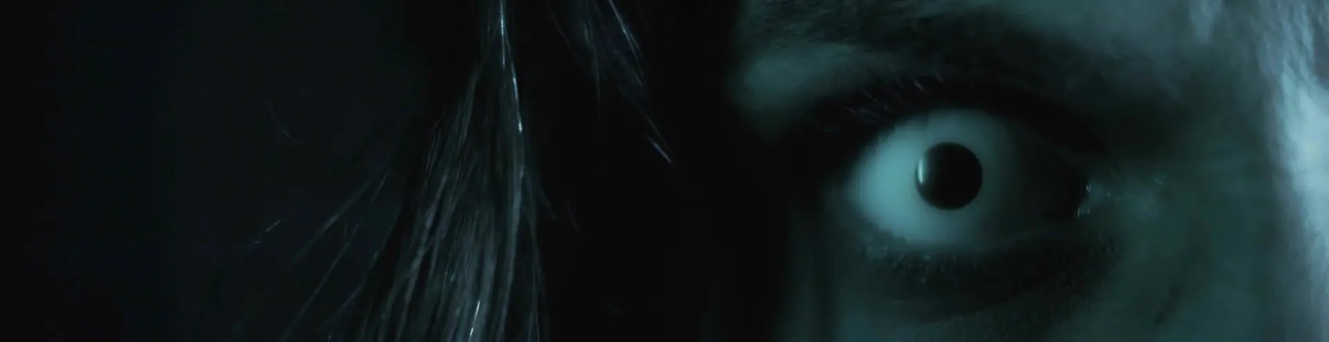 The Many Faces of Horror: How Horror Films are Crafted